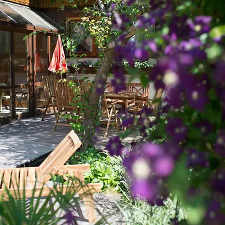 Struppi - Ihre Allgaeu-auszeit Mit Hund Apartmán *