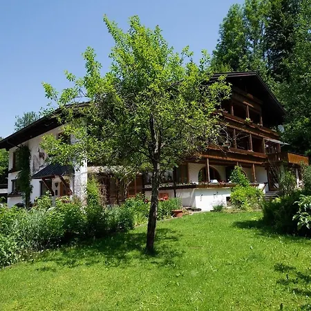 Struppi - Ihre Allgaeu-auszeit Mit Hund