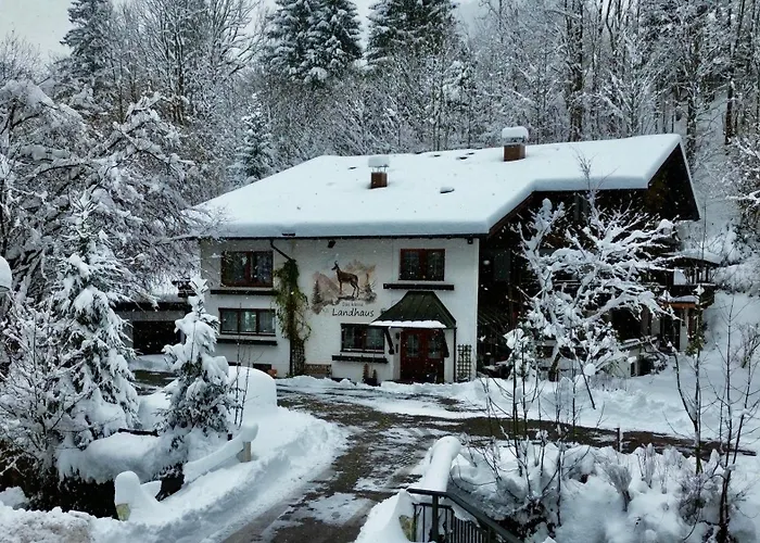 Wohnung Struppi - Ihre Allgaeu-Auszeit Mit Hund شقة