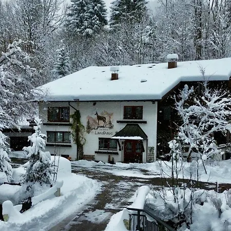 Struppi - Ihre Allgaeu-auszeit Mit Hund Apartman